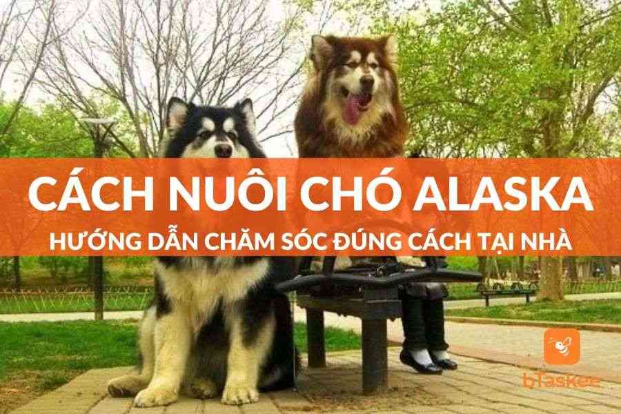 cham_soc_cho_con_moi_lon